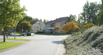 Bild på Skogshöjden