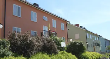 Bild på Rådjuret