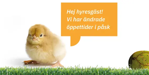 Bild på påskliljor och en kyckling som som i pratbubbla berättar att Eidar har ändrade öppettider över påsken