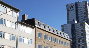 Bild på Elefanten