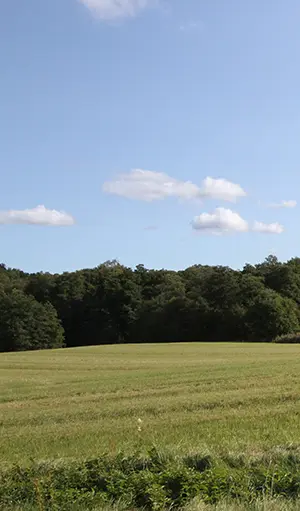Grön äng mot blå himmel i Åsaka, Trollhättan