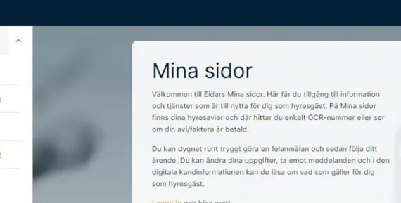 Nya Mina Sidor