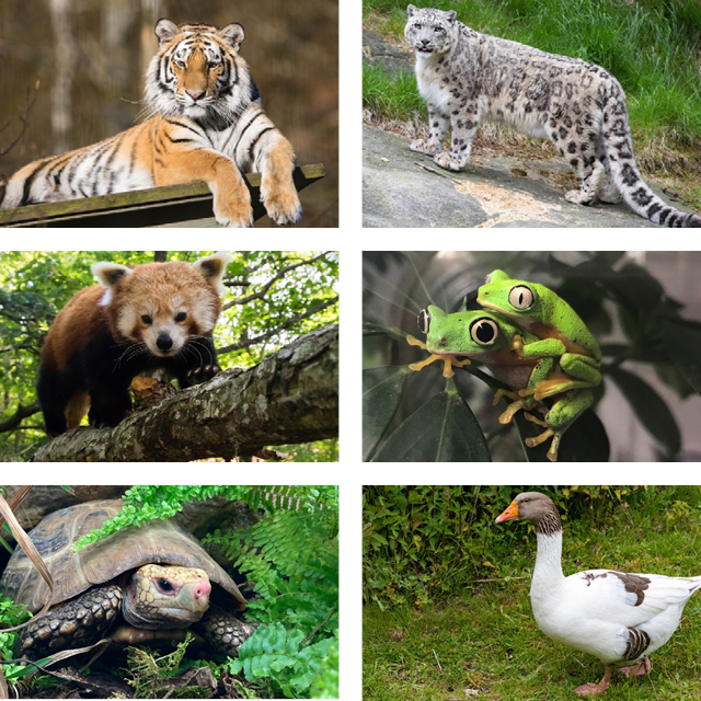 nordensark_djur 640x640.png