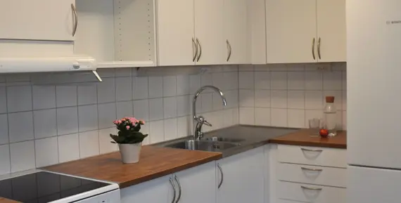 Kök med vita lockor och en blomma stående på bänken