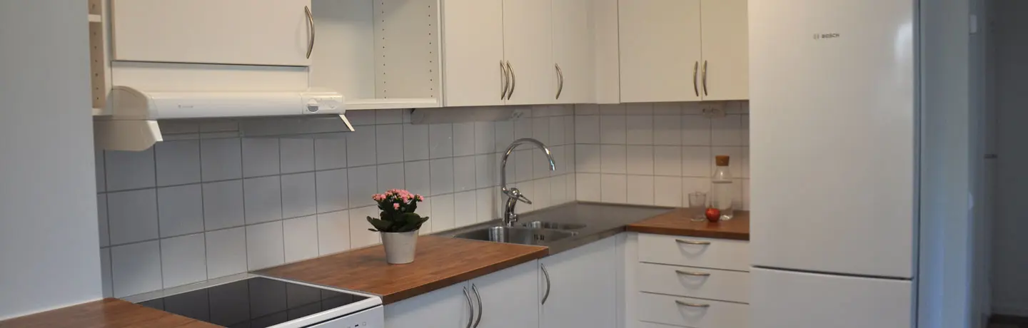 Kök med vita lockor och en blomma stående på bänken