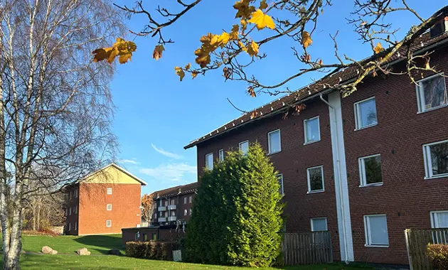 En bild på en fastighet