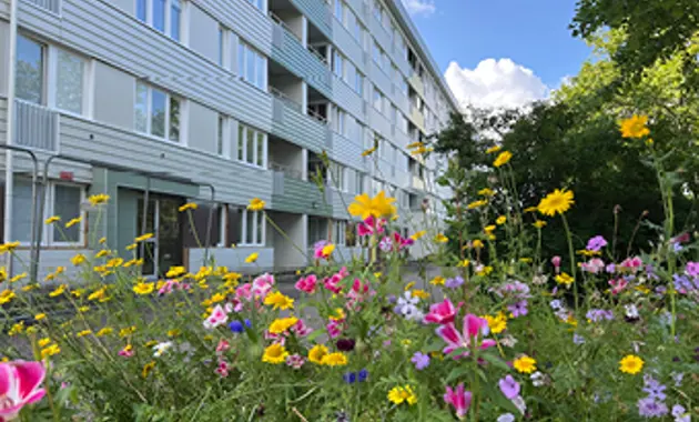 En bild på en fastighet