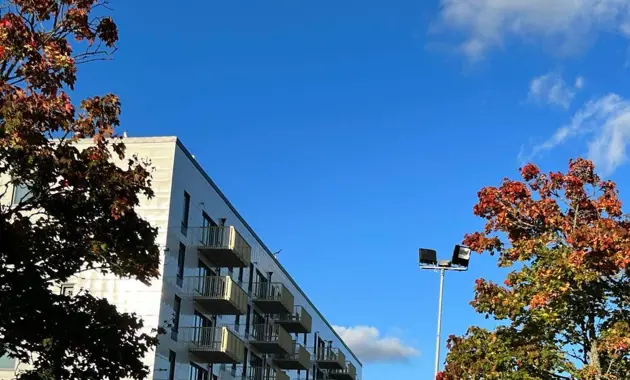 En bild på en fastighet