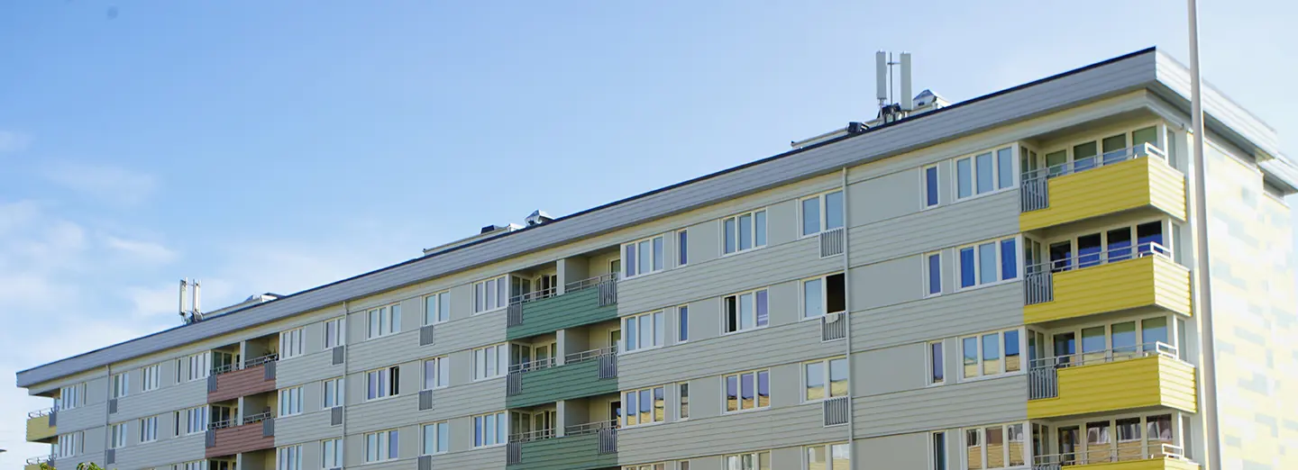 Bild på Guldvingen