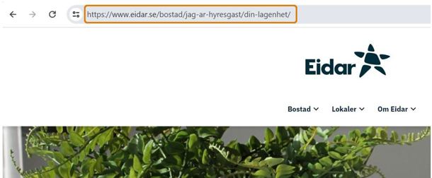 url är texten högst upp i webbläsaren som börjar med https