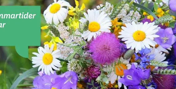Midsommar