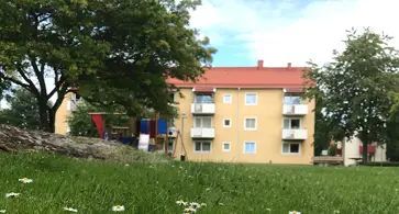 Bild på Beckasinen