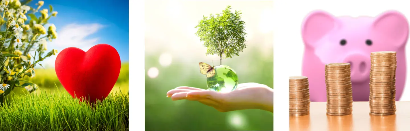 Kollage av hyresgästaktiviteter såsom cykelkurs, brottning, löpning