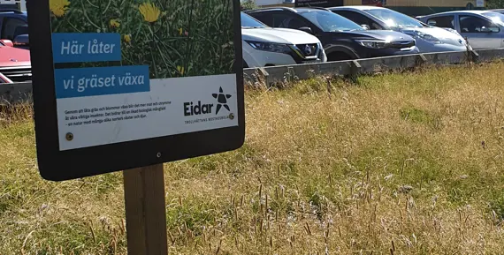 Högt gräs med informationsskylt