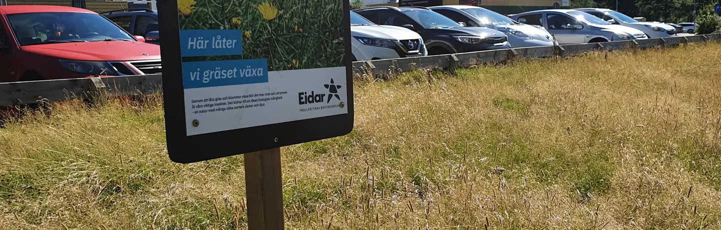Högt gräs med informationsskylt