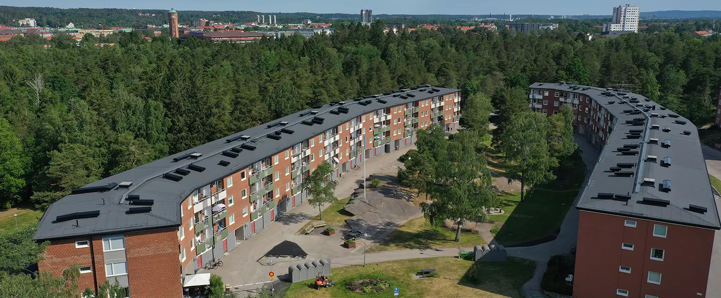 Bild på Lantsågen